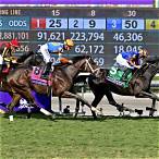 racing horse bet